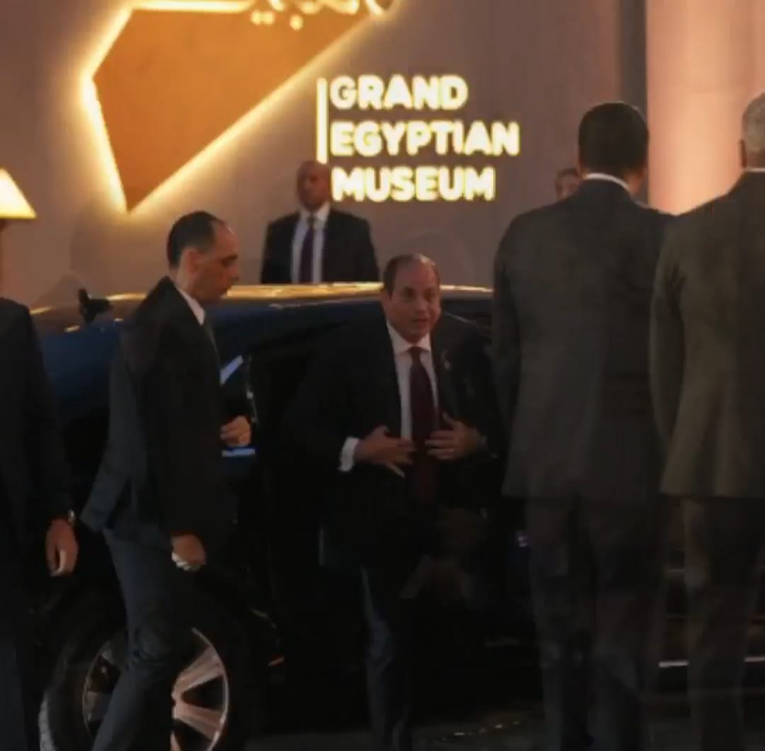 الرئيس السيسي&nbsp;
