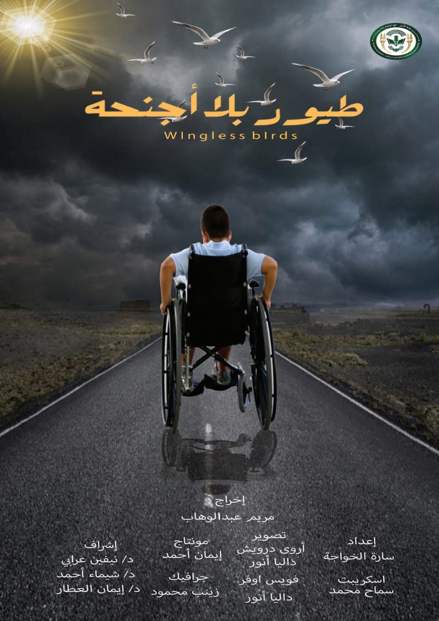 طيور بلا اجنحة