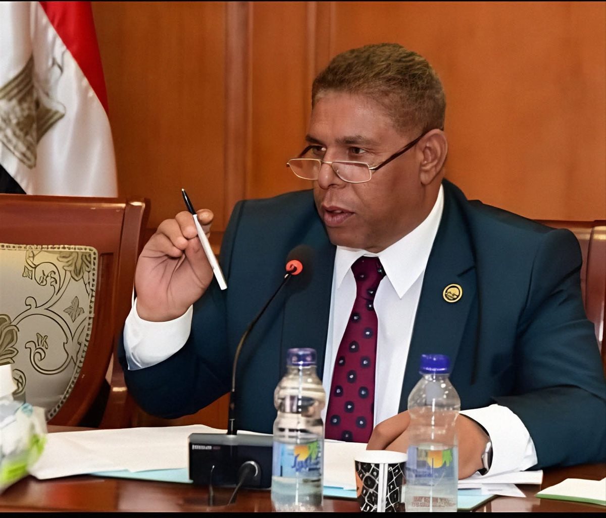 النائب سيد عوض&nbsp;