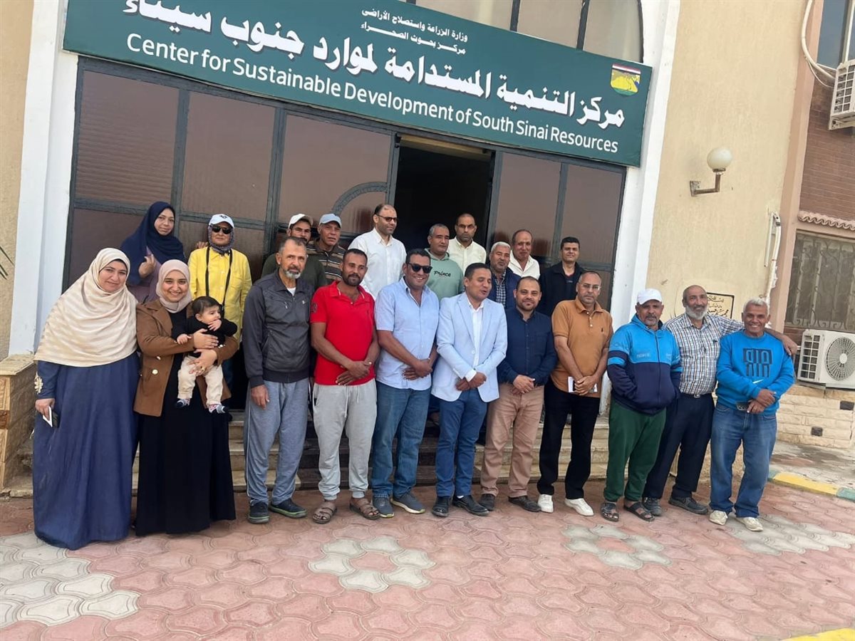 جنوب سيناء&nbsp;
