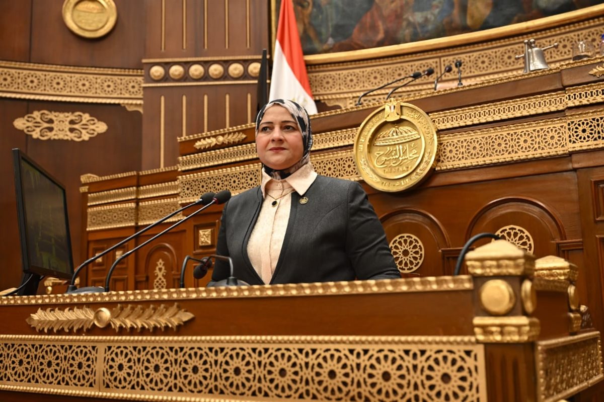 أمين سر لجنة الطاقة والبيئة بالشيوخ: لا تهاون مع سرقة التيار الكهربائي… وعلى الحكومة ضمان خدمة كهرباء مستقرة وعادلة