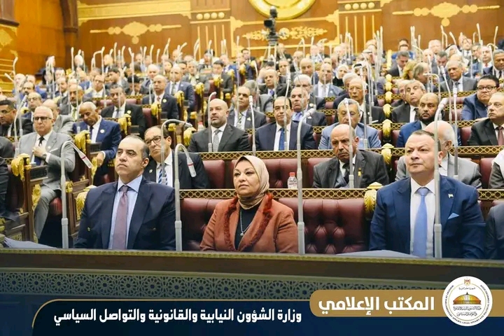 مجلس الشيوخ يقر نهائيًا تعديلات قانون الكهرباء لضبط المال العام