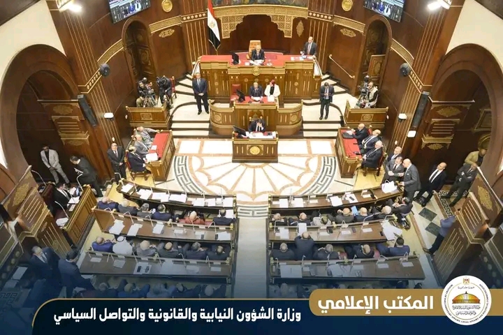 مجلس الشيوخ يقر نهائيًا تعديلات قانون الكهرباء لضبط المال العام
