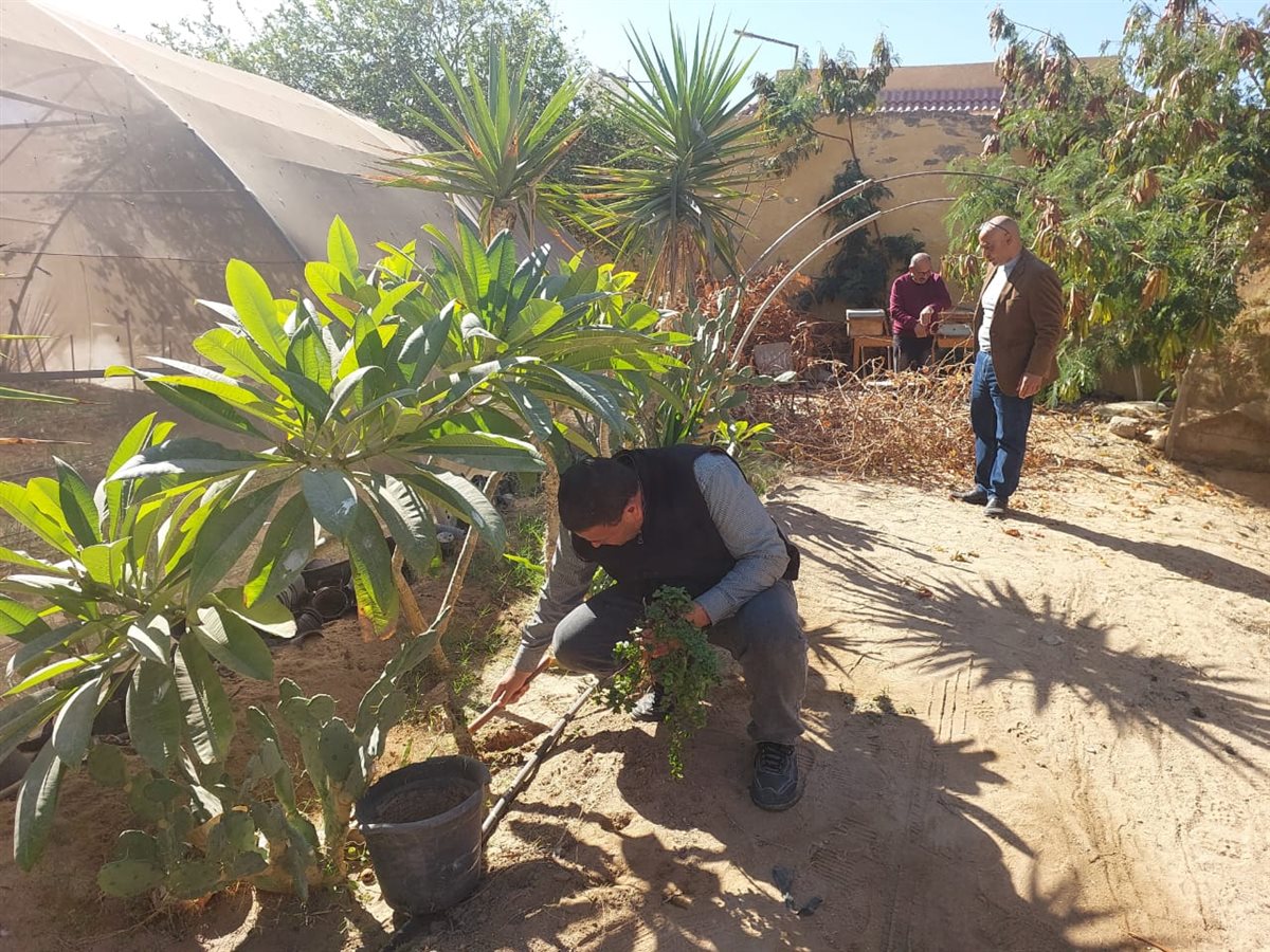 انطلاقة جديدة لتطوير الوحدة البستانية بجنوب سيناء مع مطلع العام الجديد