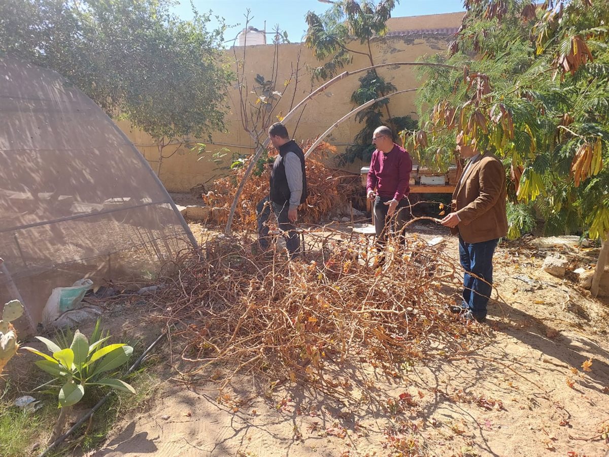 انطلاقة جديدة لتطوير الوحدة البستانية بجنوب سيناء مع مطلع العام الجديد