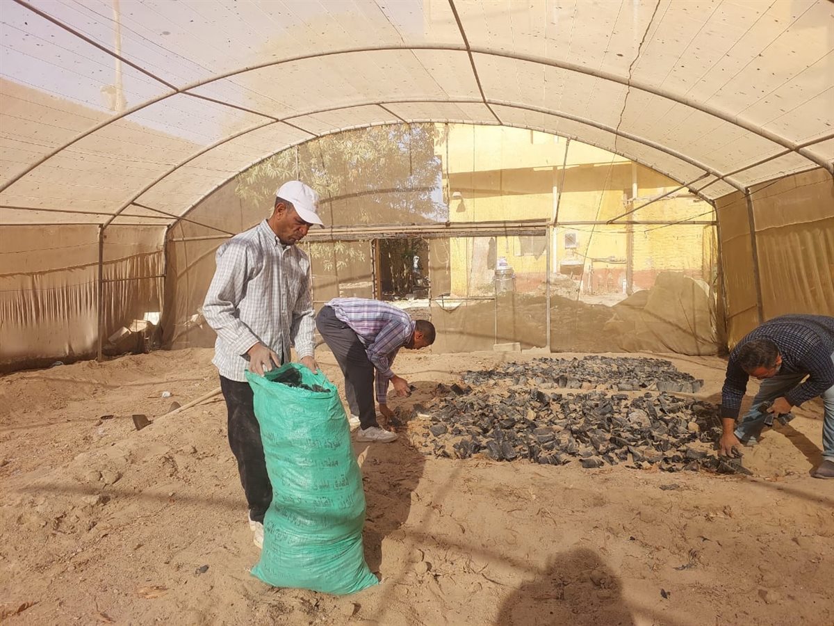 طور سيناء تبدأ تجهيز الصوبة الزراعية لتطوير العمل بالمديرية