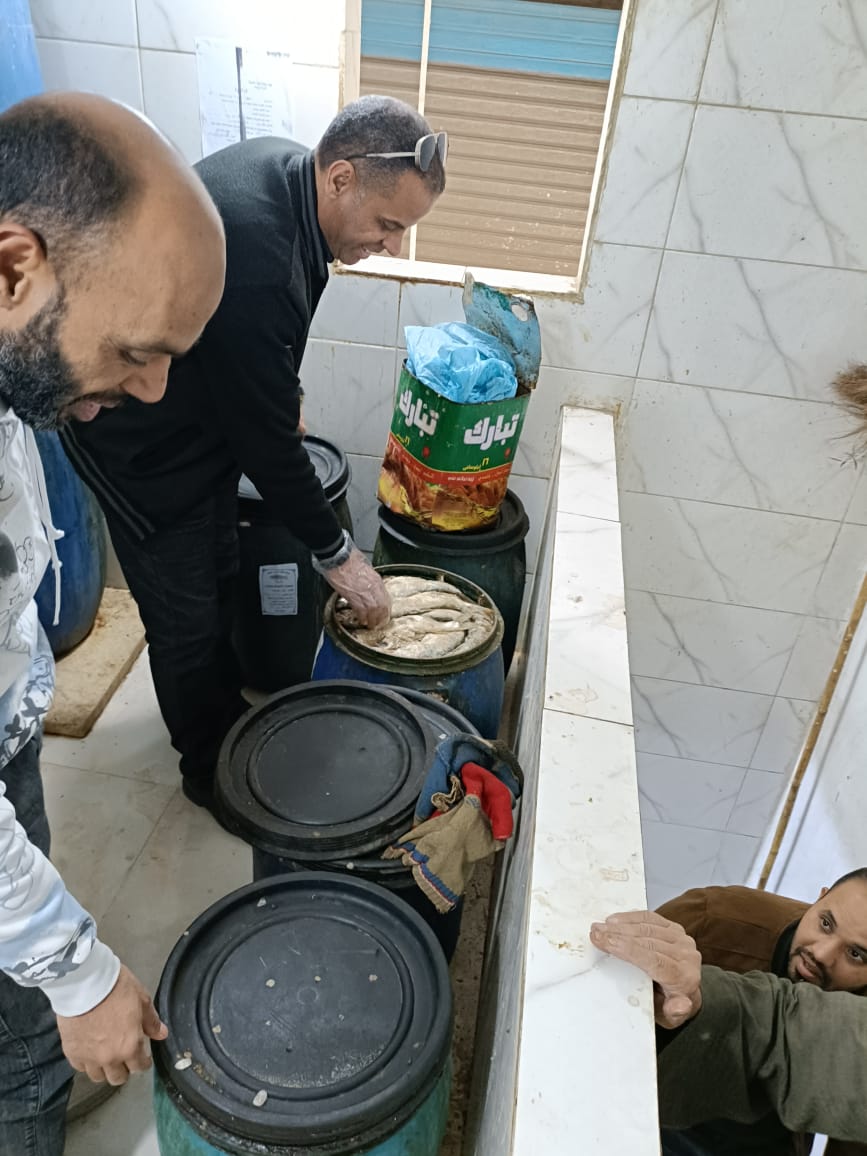 محافظة الجيزة تضبط 9 أطنان من الأسماك المملحة المدخنة وأغذية فاسدة ولحوم مذبوحة خارج المجازر قبل عيد الفطر