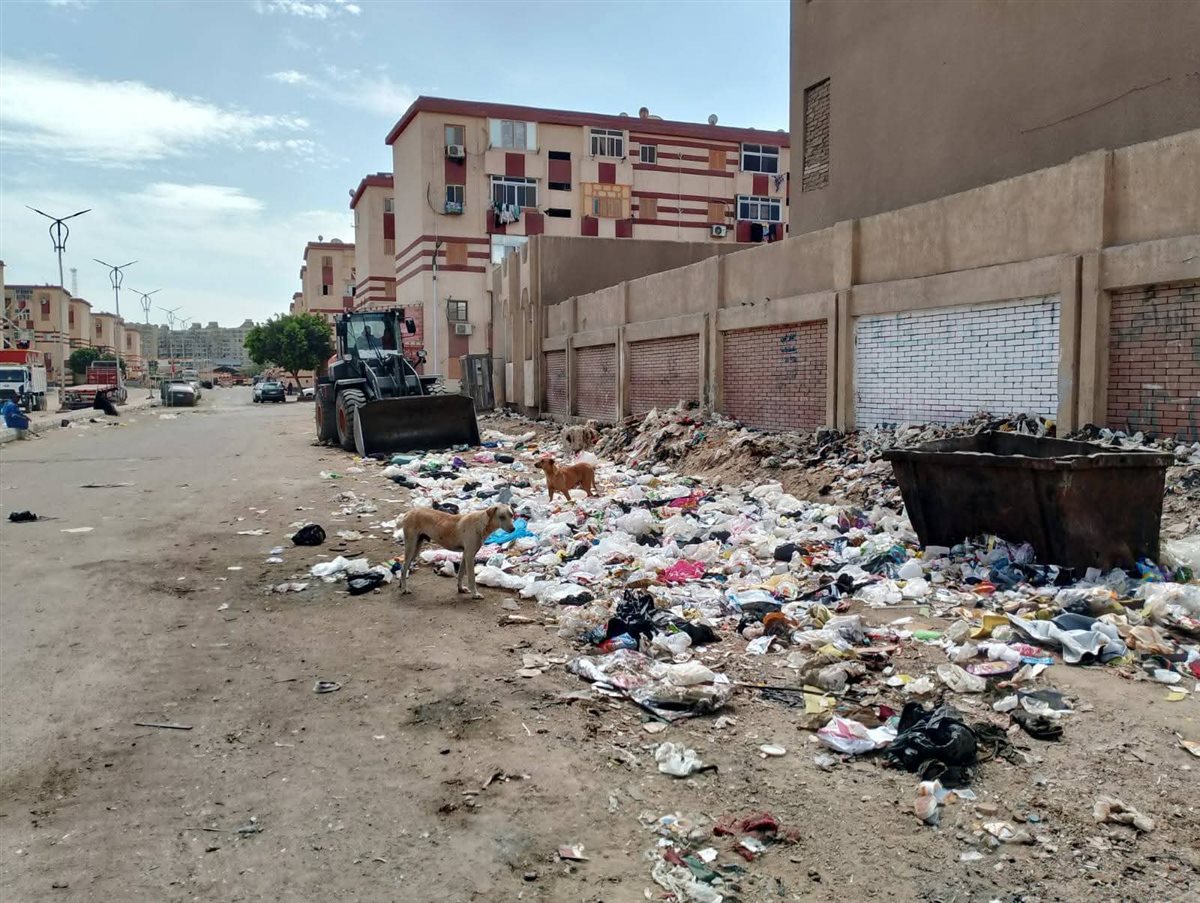 نشاط ملحوظ لإحياء السويس في<br>تكثيف الجهود لرفع كفاءة النظافة بالمحافظة&nbsp;
