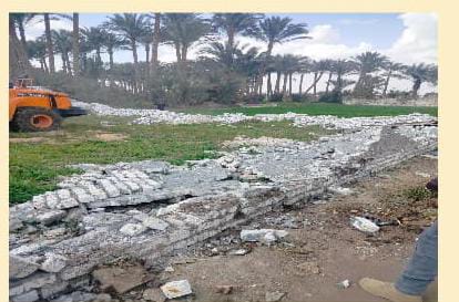 حملة مكبرة بالجيزة تزيل 49 تعديًا وتسترد 50 فدانًا بالكامل