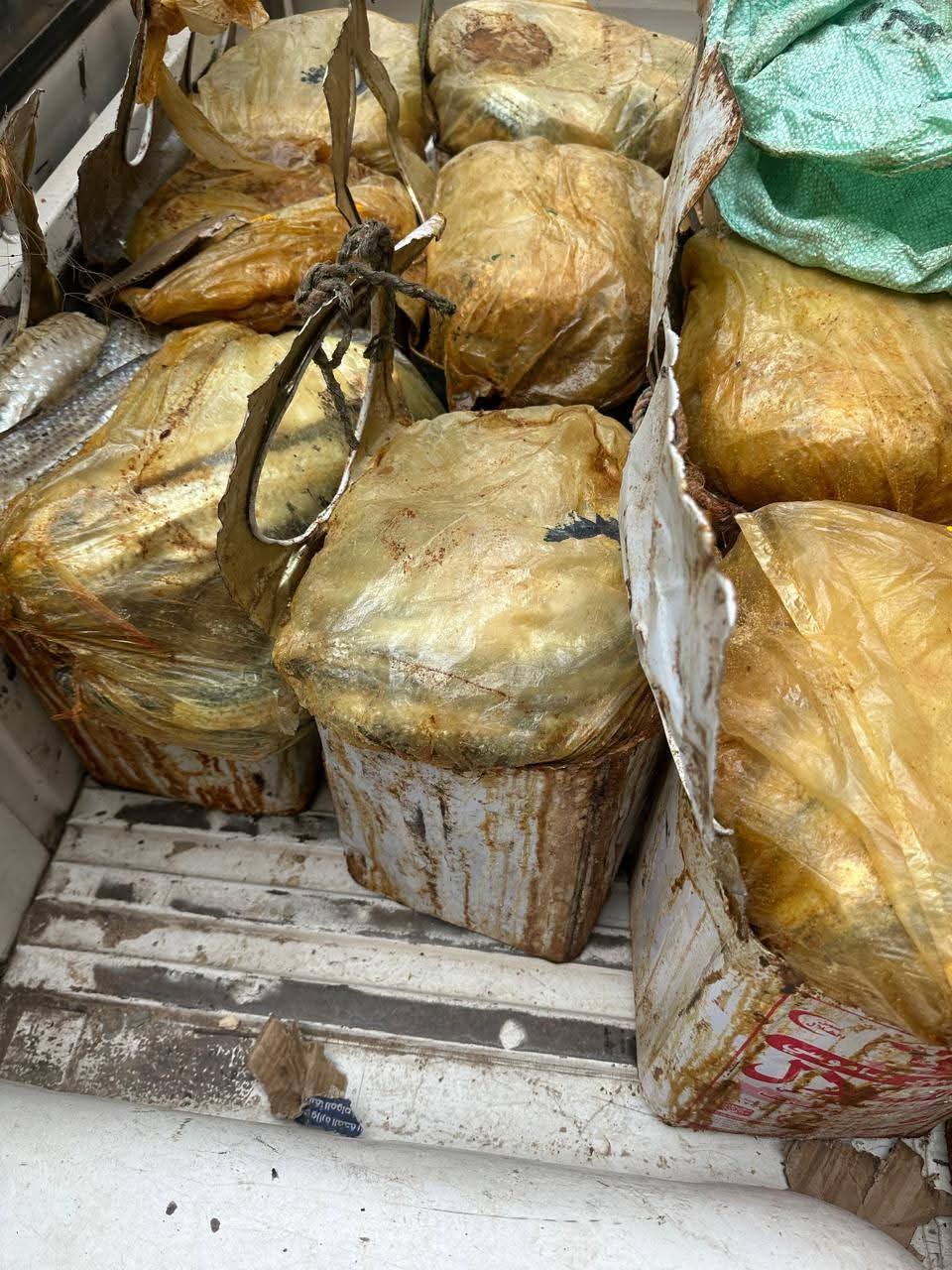 حملات مكثفة بأسيوط لضبط الأسواق والتصدي للأغذية الفاسدة حفاظًا على صحة المواطنين