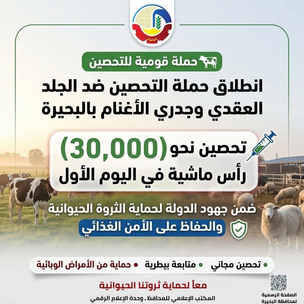 إنطلاق الحملة القومية للتحصين ضد مرض الجلد العقدي وجدري الأغنام بالبحيرة&nbsp;