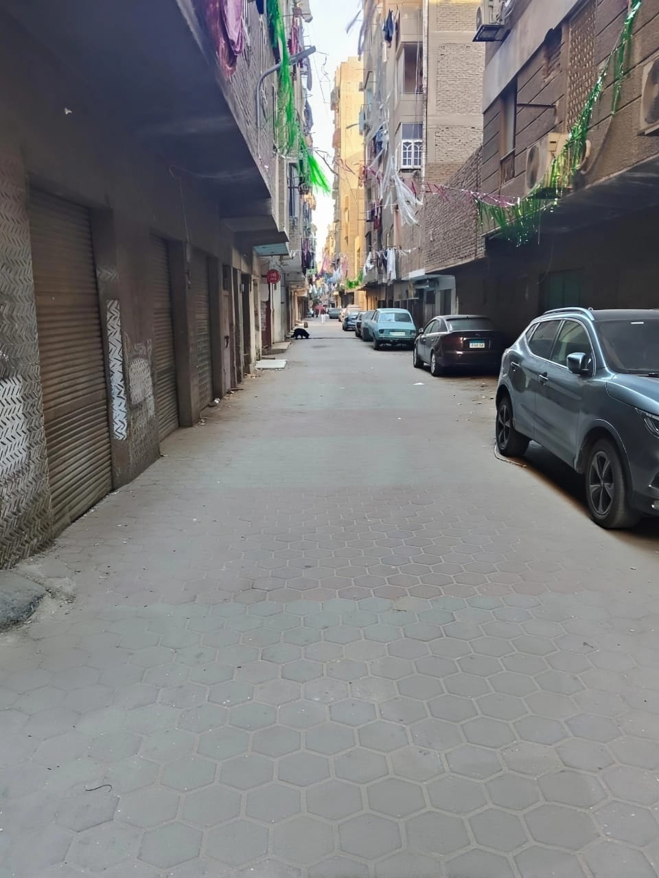 محافظ الجيزة يعلن تطوير شامل لإمبابة: رصف 11 شارعًا ورفع كفاءة البنية التحتية