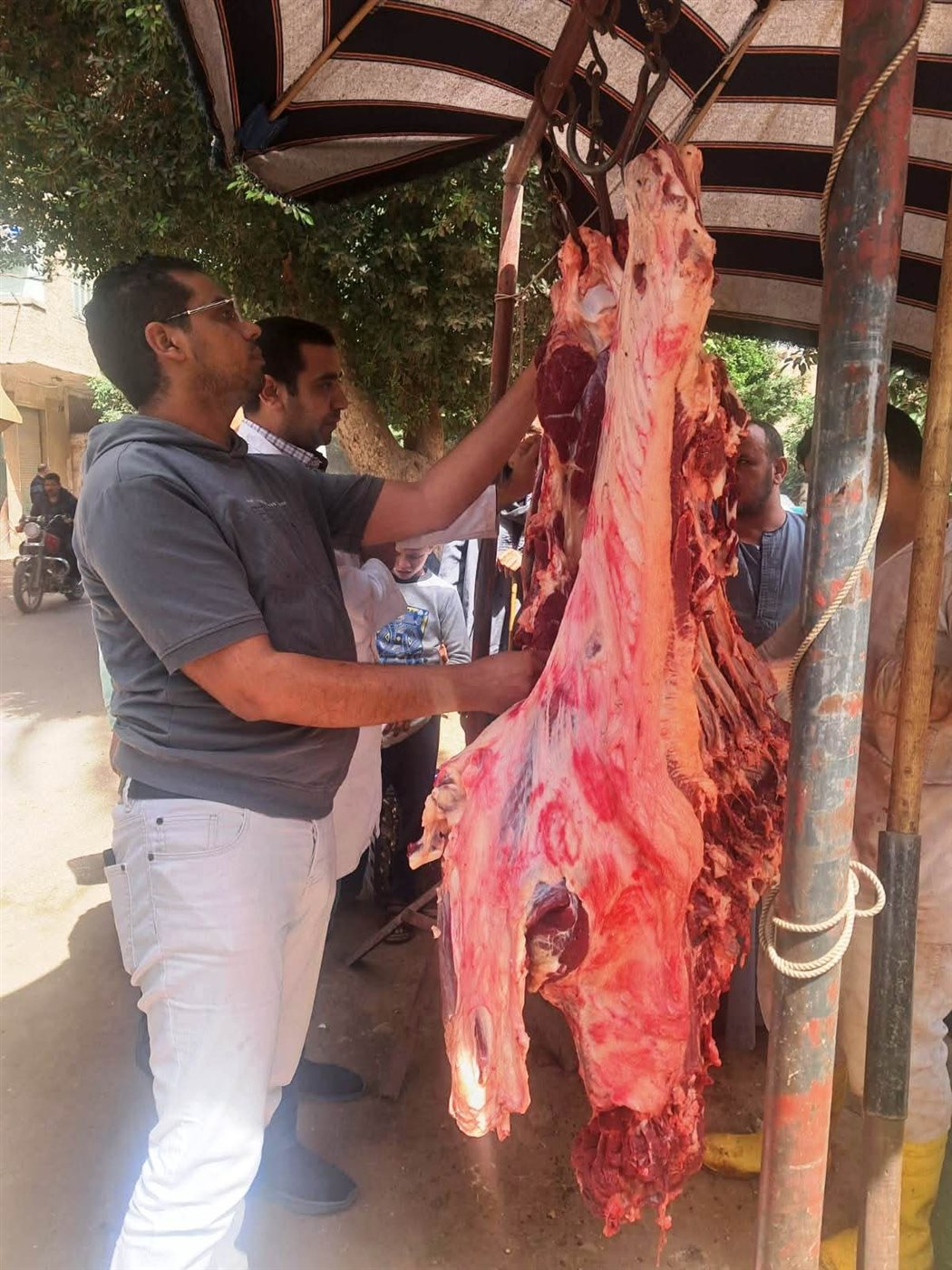 ضبط أكثر من 200 كيلو لحوم فاسدة خلال حملة مكبرة للطب البيطري بسوهاج
