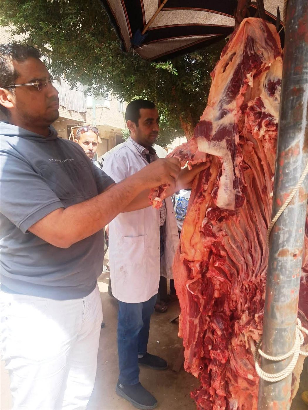ضبط أكثر من 200 كيلو لحوم فاسدة خلال حملة مكبرة للطب البيطري بسوهاج