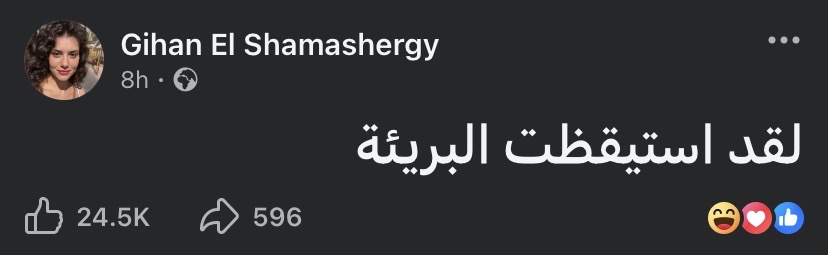 تعليق جيهان الشماشرجي بعد حكم المحكمة&nbsp;