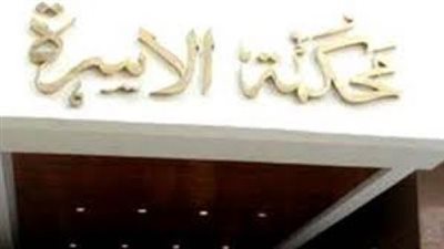 محكمة الأسرة تنظر اليوم دعوى طليقة نجل هالة فاخر   