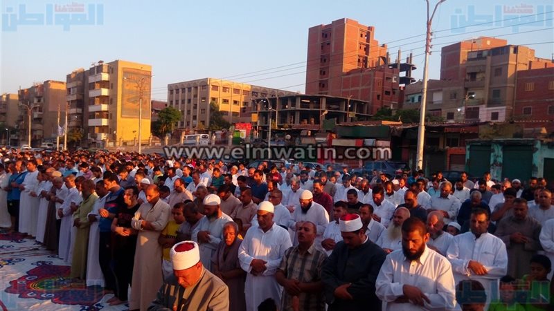 المواطن