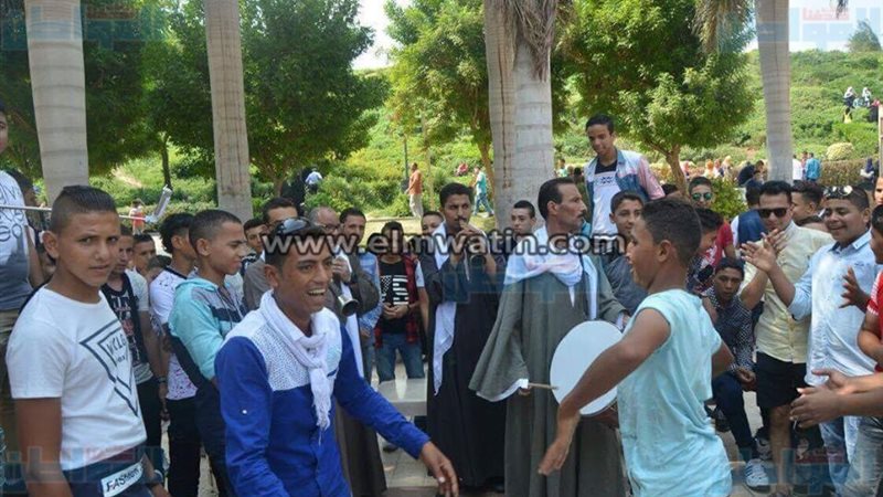 المواطن