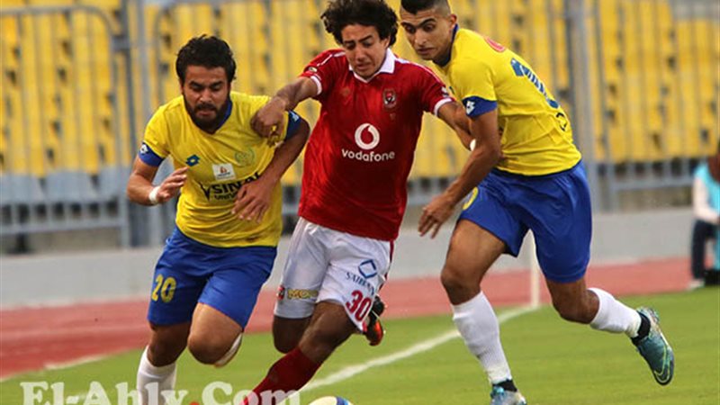 المواطن