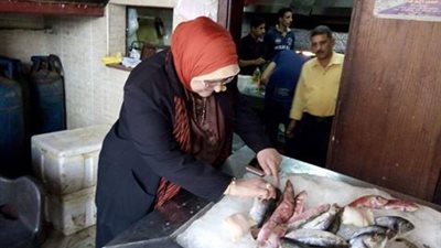 جولة تفتيشية لـ«صحة المنوفية» علي أماكن بيع الوجبات الجاهزة