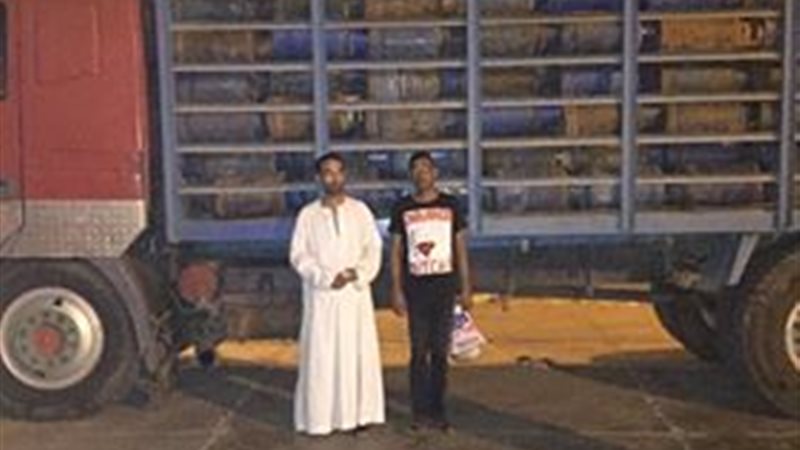 المواطن
