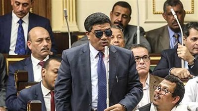 «برلماني» : وجود المستشارين في الجهاز الإداري إهدار للمال العام