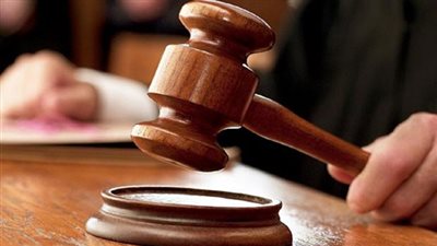 حفظ التحقيق في واقعة دهس نائبة «مستقبل وطن» لعاملين