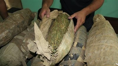 ضبط 10 كيلو بانجو و3 أسلحة نارية في حملة مكبرة بأسوان 