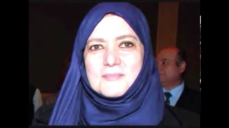 شمس البارودي