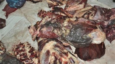 ضبط منتجات غذائية فاسدة في متجر شهير بالإسماعيلية