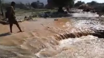 المصرية لإدارة الأزمات وجمعية حقوق المرأة تعقدان ورشة عمل عن مخاطر السيول