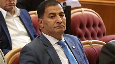 البدري ضيف: أيادٍ خبيثة تحرك الداعين لتظاهرات 11 نوفمبر