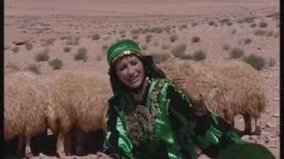 بالفيديو.. 