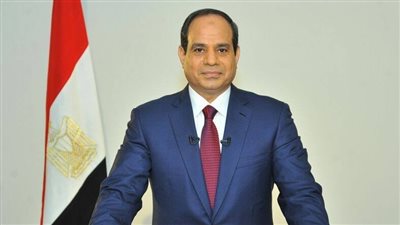 السيسي يؤكد انفتاح مصر على أشقائها الأفارقة