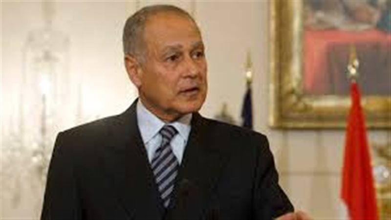 أحمد أبو الغيط، أمين