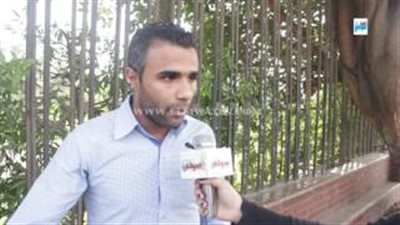 بالفيديو.. مواطنون: نقتسم أموال حلوى المولد مع صندوق تحيا مصر