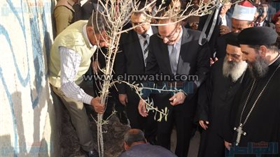 بالصور.. محافظ بني سويف: مبادرة لزراعة 3 ملايين شجرة زيتون