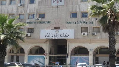 الزراعة تستعد لتوزيع 6.5 مليون استمارة للفلاحين لتطبيق