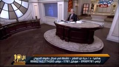 بالفيديو.. برلماني عن تصدير الحمير للصين: 