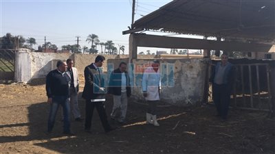 الرقابة الإدارية تشن حملة مفاجئة على مزارع الإنتاج الحيواني بأسيوط