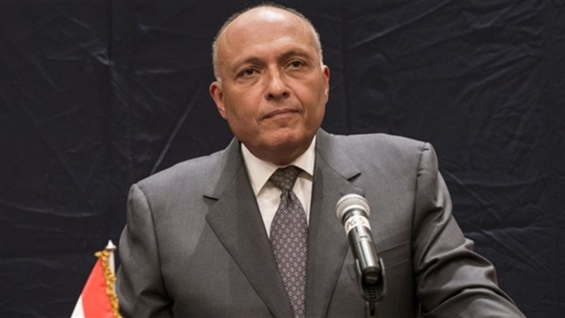 سامح شكرى وزير الخارجية