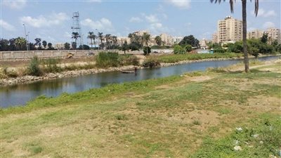 شرطة البيئة والمسطحات بالإسكندرية تشن حملة على ترعة المحمودية