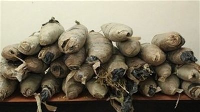 ضبط 152 لفافة بانجو بحوزة عاطلين في المنوفية