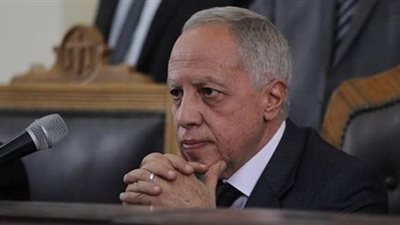 إحالة متهمين للمفتي.. والحكم على 7 آخرين في 1 فبراير بـ