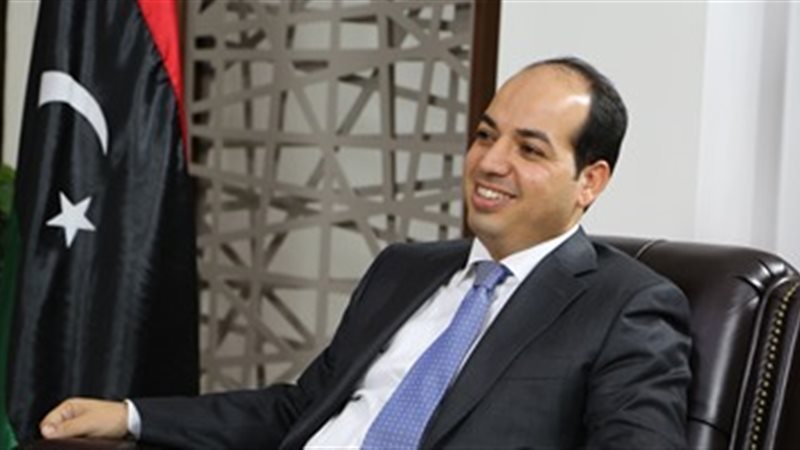 نائب رئيس المجلس