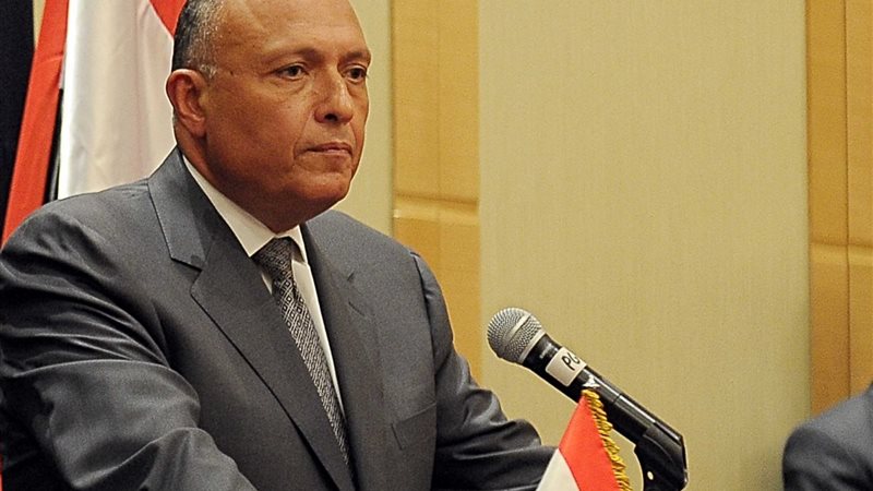  سامح شكري