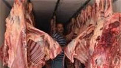 الخدمات البيطرية تكثف الحملات الرقابية على المجازر