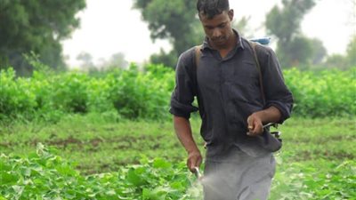 طلب إحاطة لوزارة الزراعة لتوفير الأسمدة والمبيدات للمزارعين