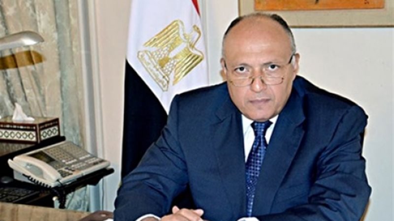  سامح شكري