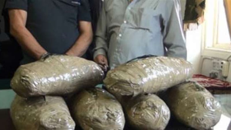  بانجو - أرشيفية